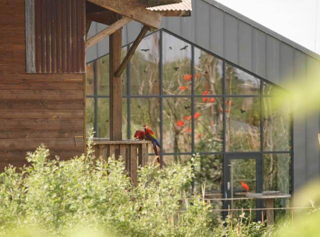 Parrot World - Lodge 21