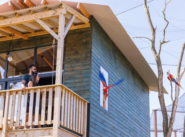 Parrot World - Vue Lodge 1 ©Ronan ROCHER