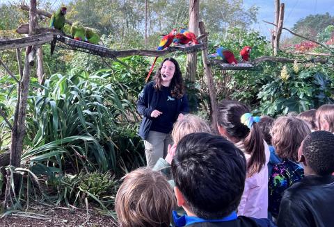 Réservation sortie centre de loisirs avec Animaux - Parrot World Parc animalier immersif en Île-de-France