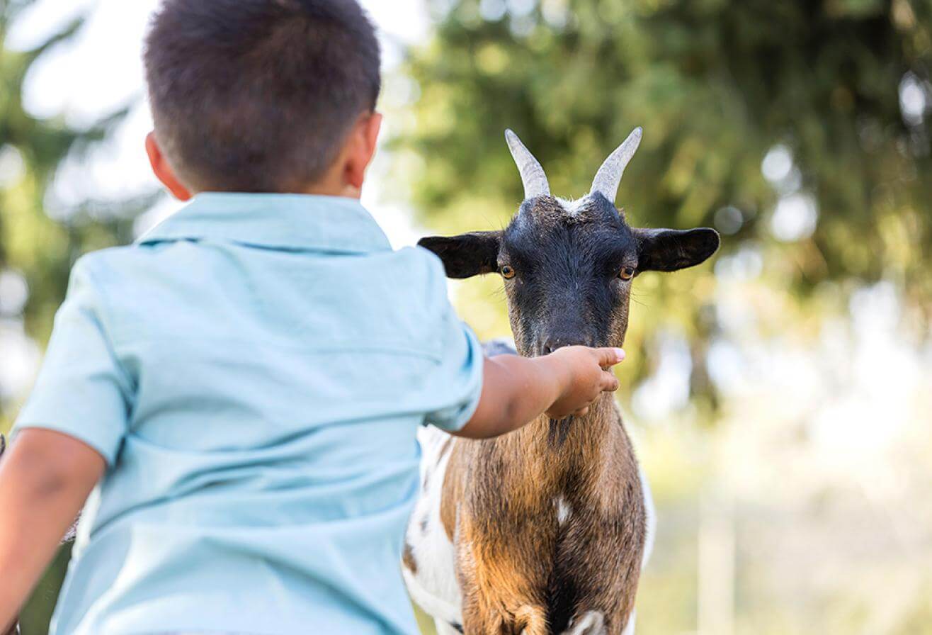 Parrot World - Activité sortie scolaire - L'éveil des sens - Très petite section