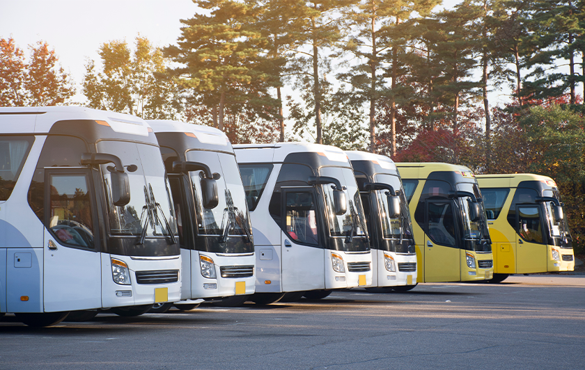 Journée extrascolaire en Île-de-france - Parrot World Parc animalier immersif en Île-de-France - Parking bus gratuit