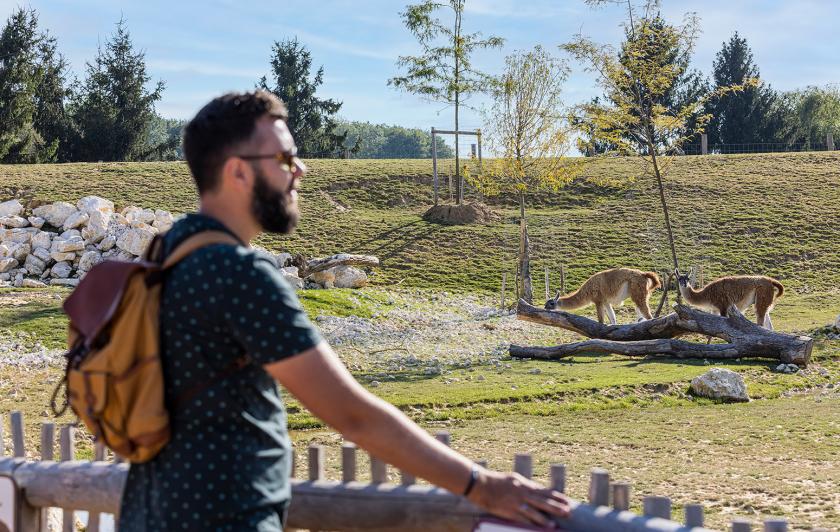 Parrot World - Patagonia Trek 5 ©Ronan ROCHER