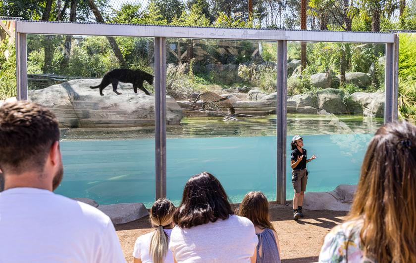 Accueil de loisirs et groupe en Île-de-France 77 - Parc animalier immersif Parrot World - Animation pédagogique gratuite