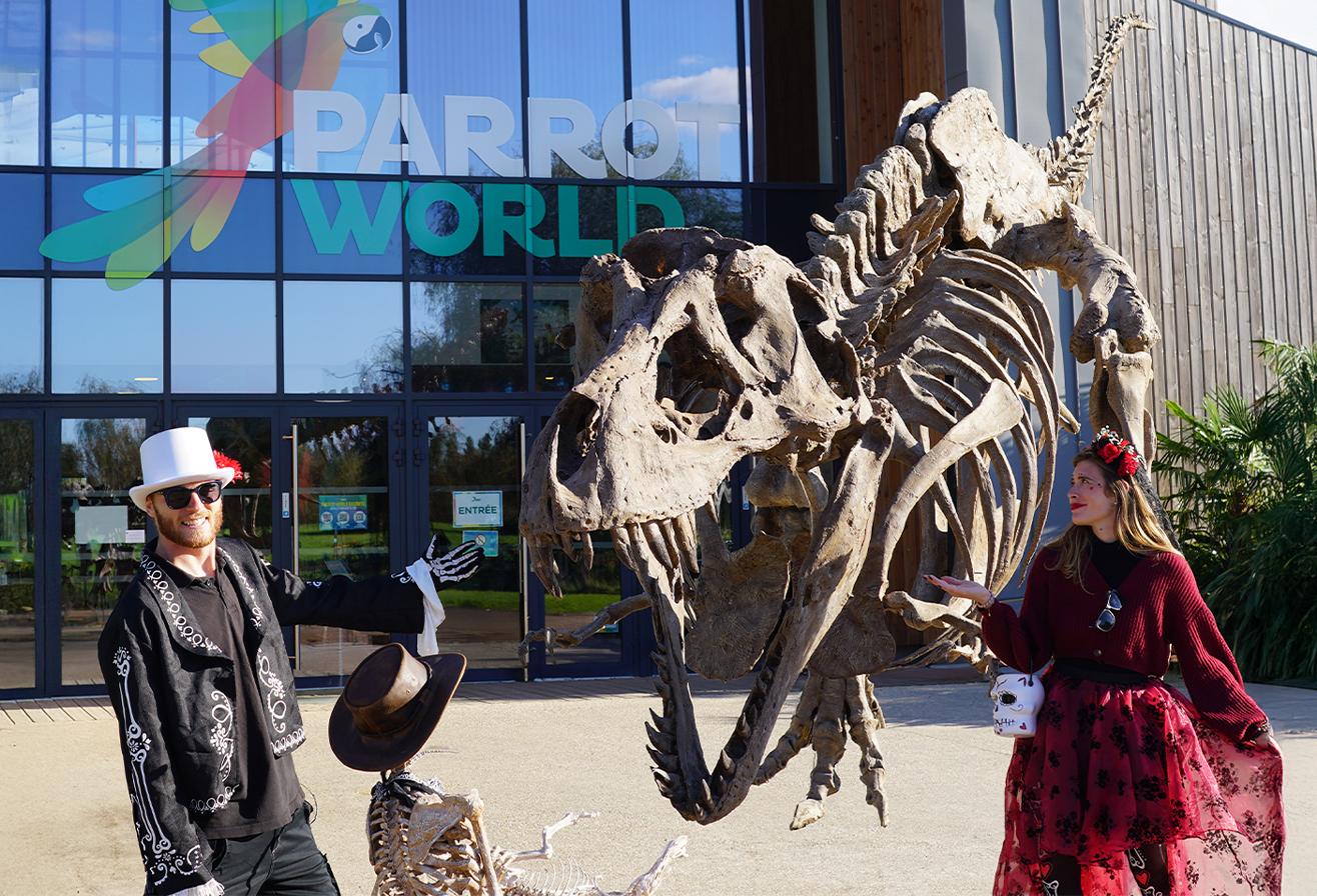 Les temps forts 2025 - Parrot World - Dia de los Muertos