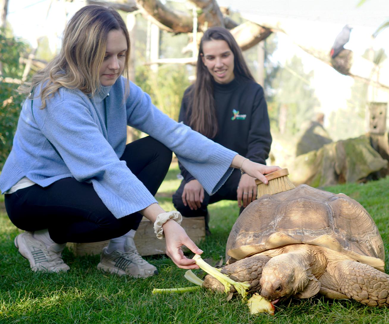 Nourrir les Tortue 1 - Sortie immersive Île-de-France