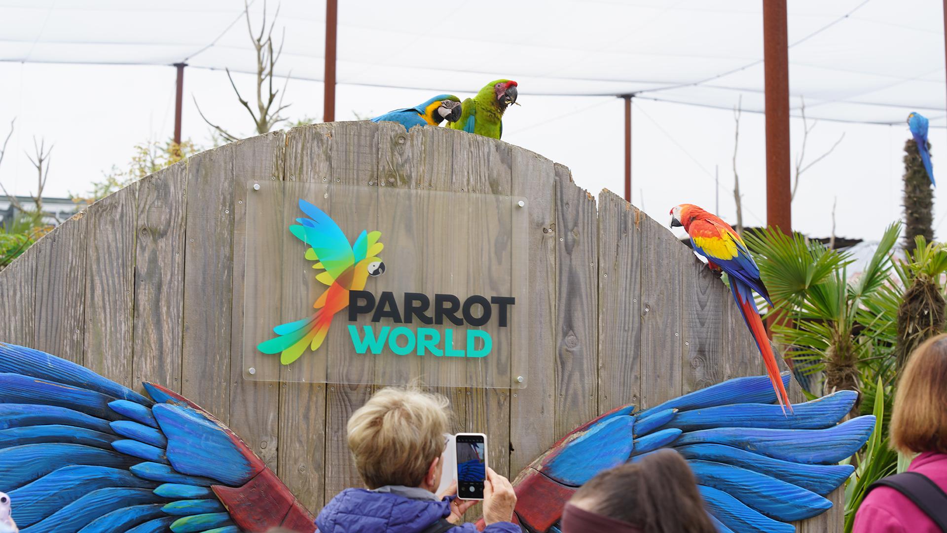 Parrot World - Immersion perroquets visiteur