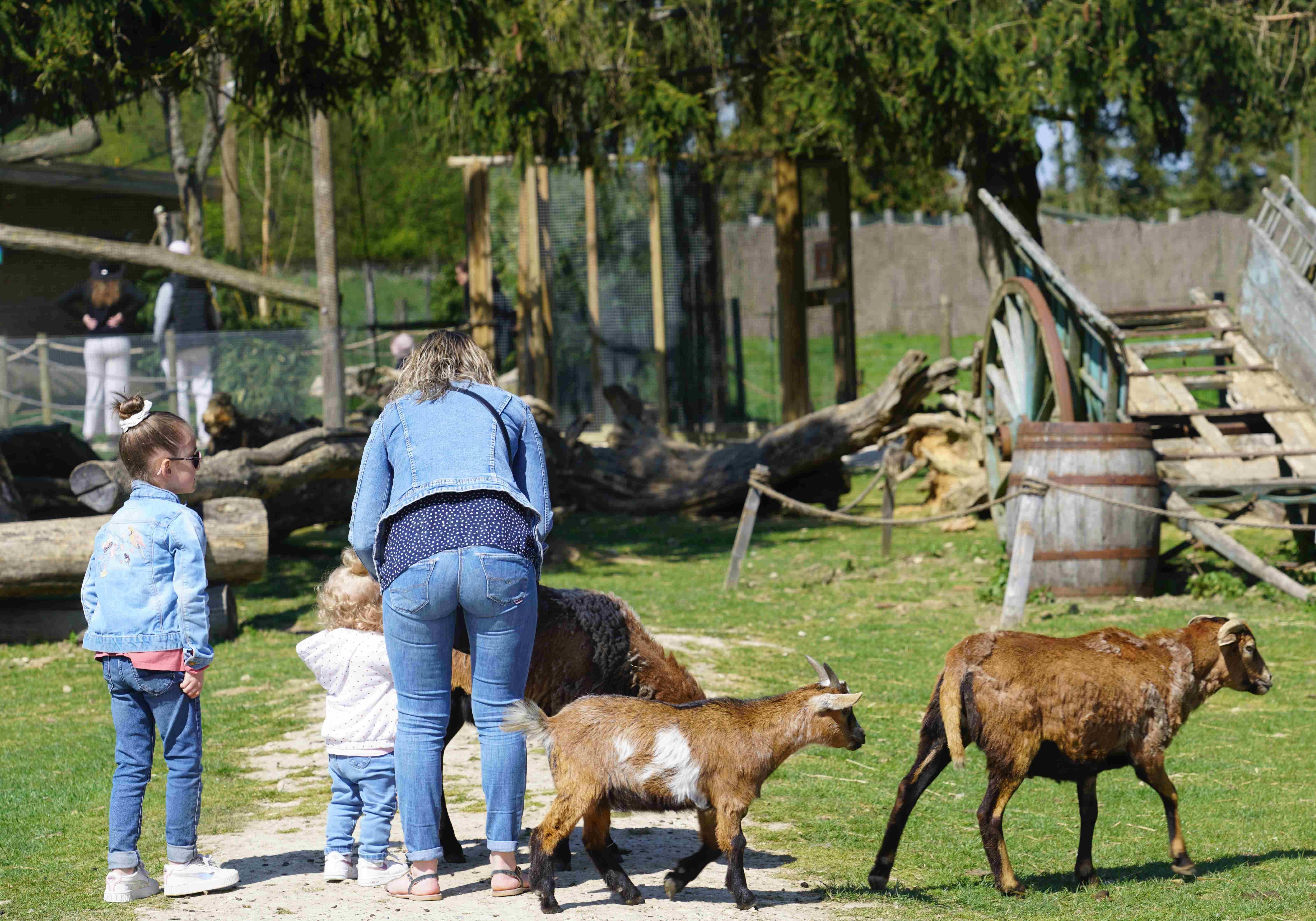 Parrot World parc animalier immersif 77 - Mini-ferme immersive - Journée extrascolaire en Île-de-France