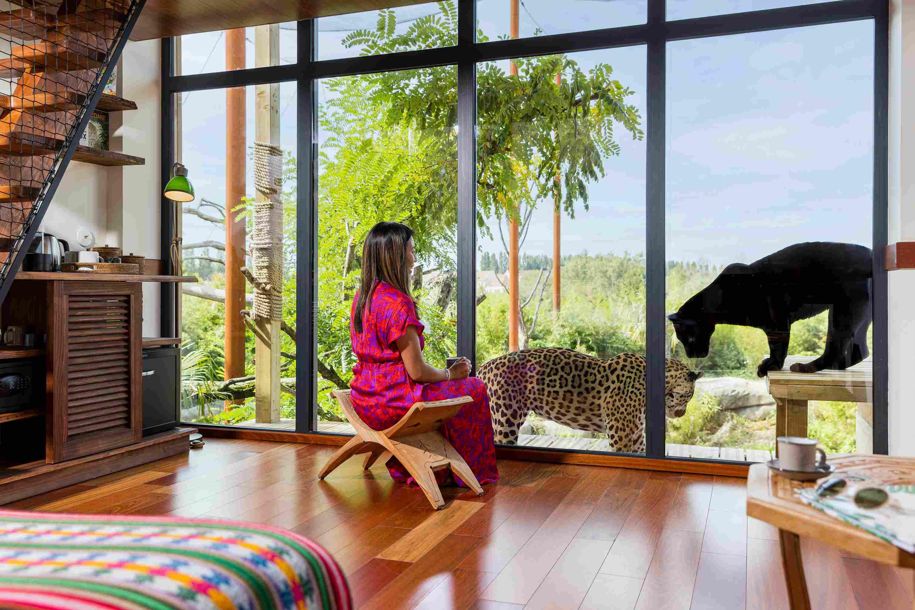 Dormir avec les animaux - Lodges Jaguar 2 - Parrot World