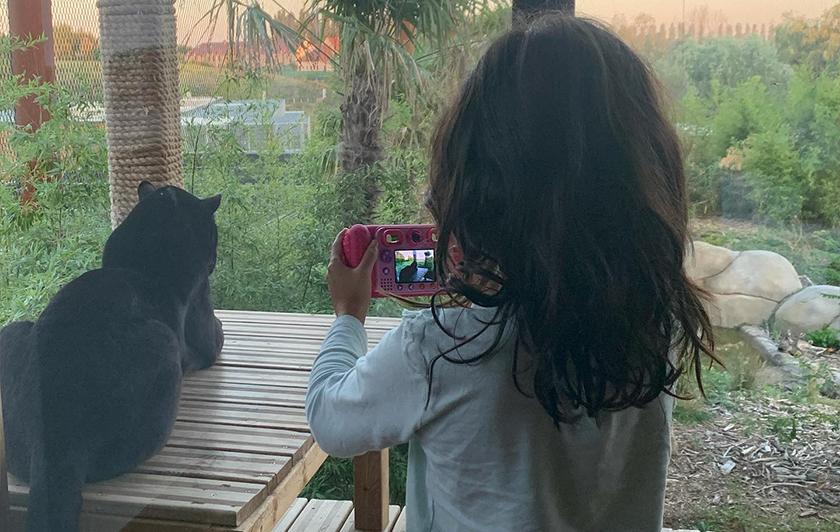 Dormir proche des animaux - Lodges Jaguar - Parrot World