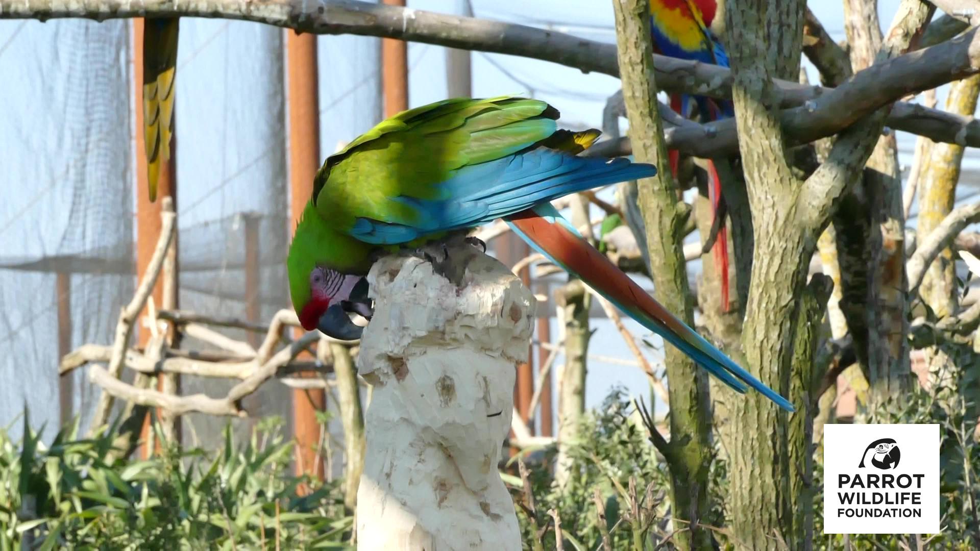 ara sculpture don pwlf web.jpg