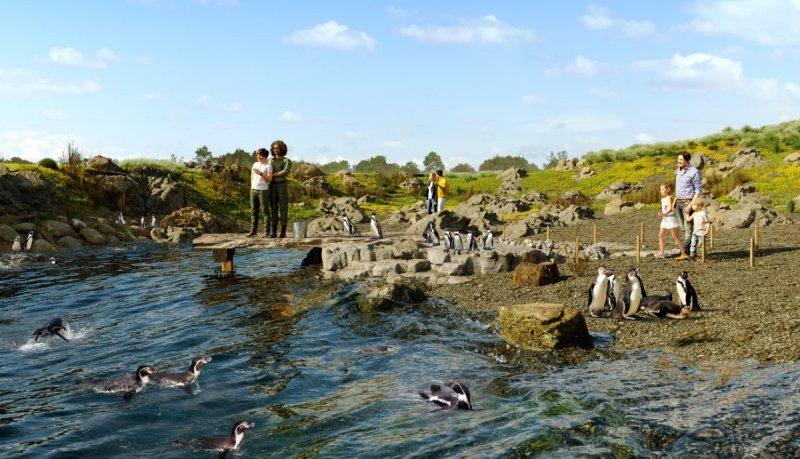 Sentier des manchots au parc animalier immersif Parrot World 