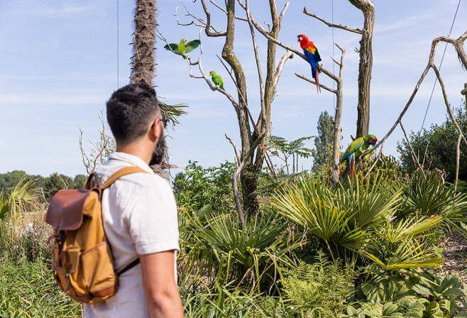 Parrot World - Amazonia Trek 9 ©Ronan ROCHER - 150dpi.jpg
