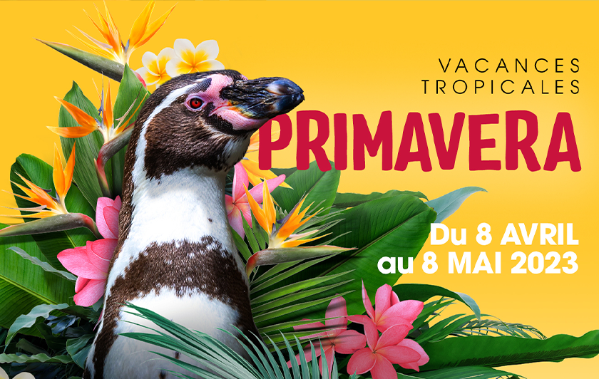 Primavera 2023