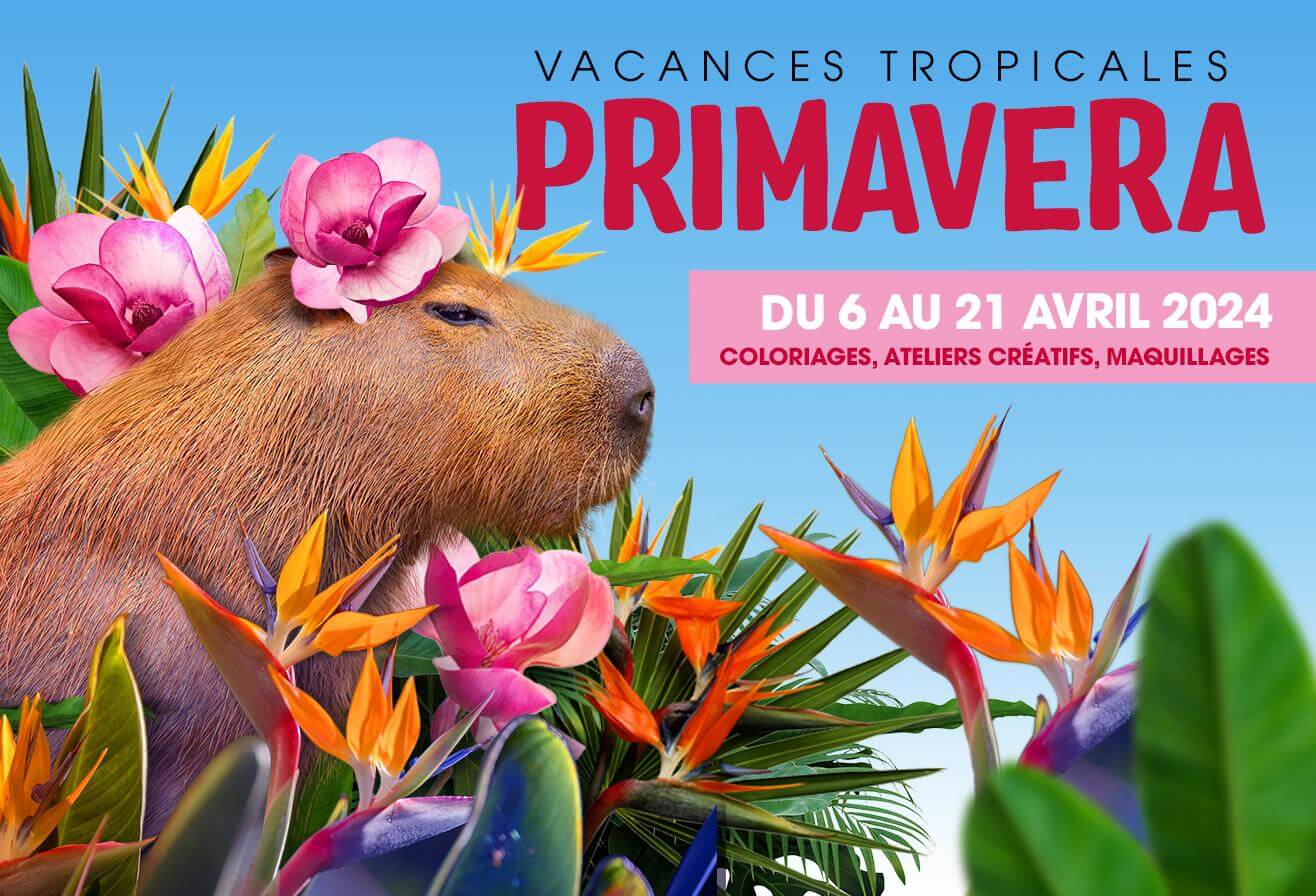 Primavera