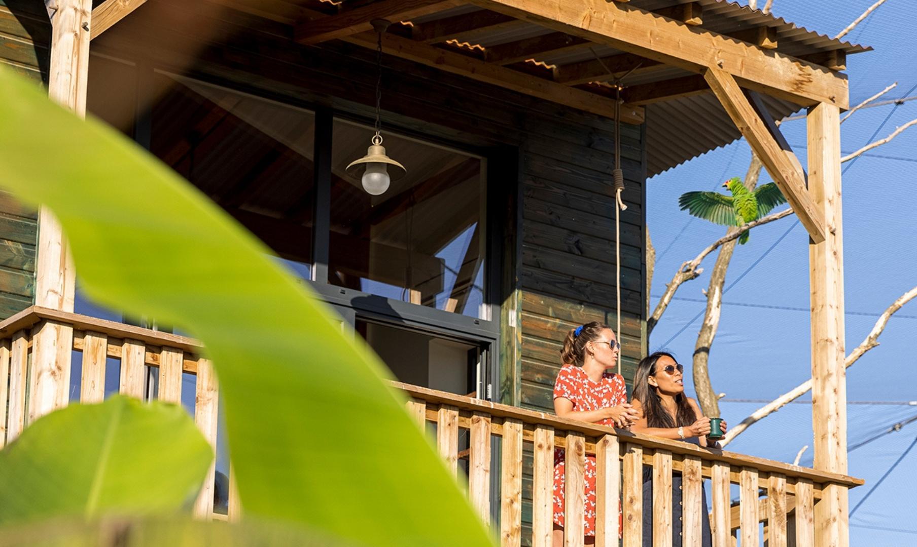 lodge amazonie
