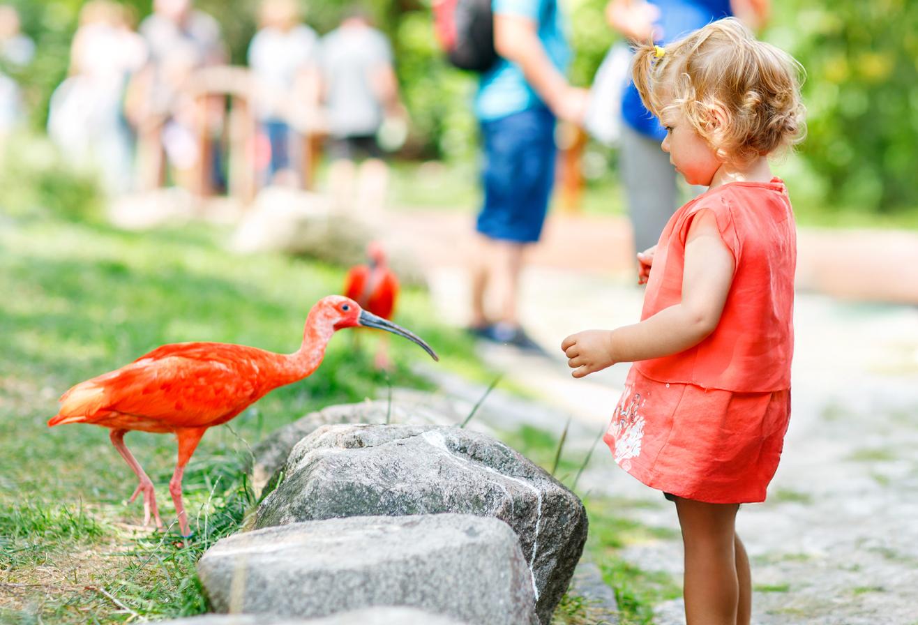 Sortie scolaire parc animalier Parrot World - Animation pédagogique Drôles de bêtes - CYCLE 1