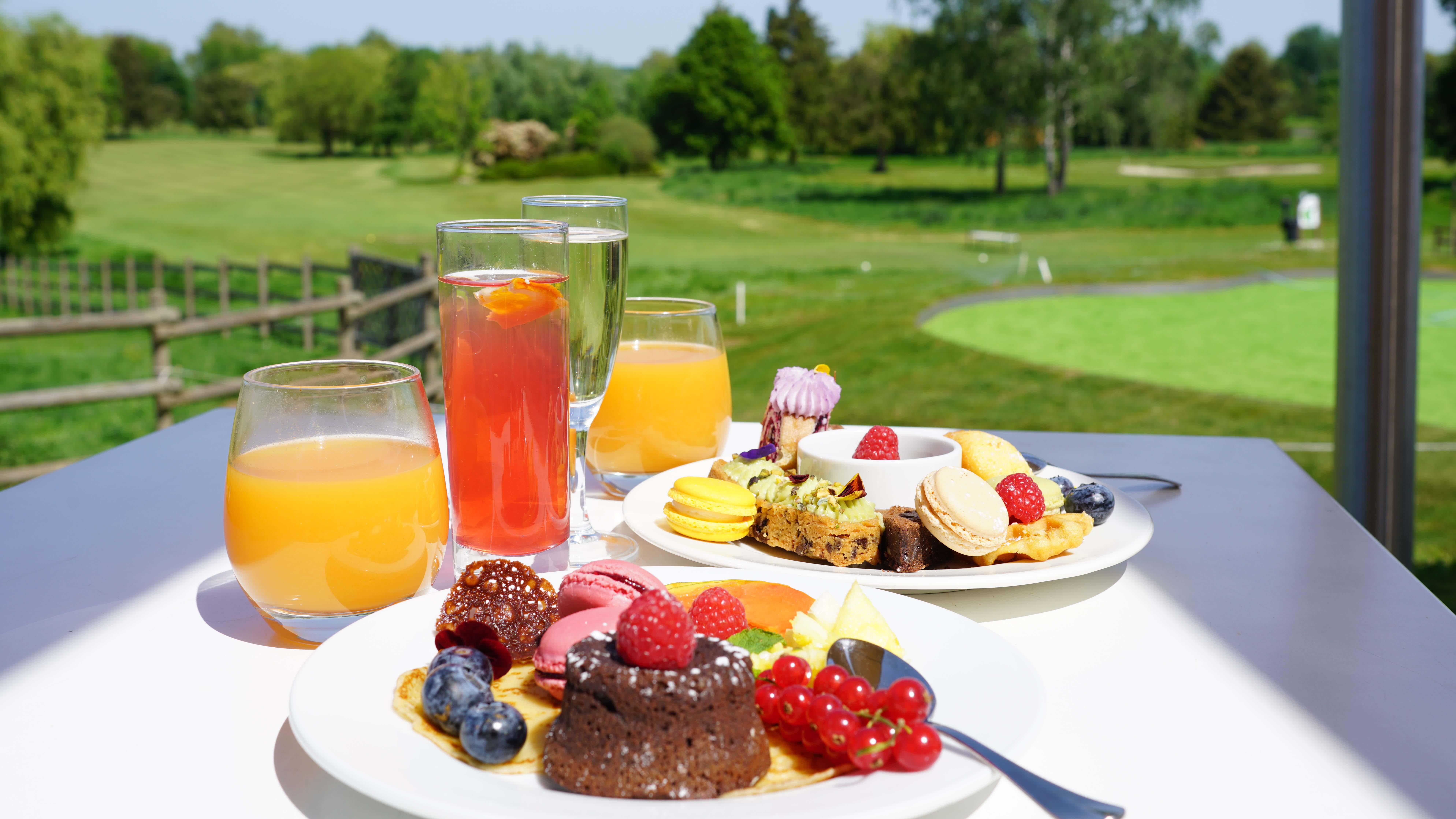 brunch panoramic parrot world