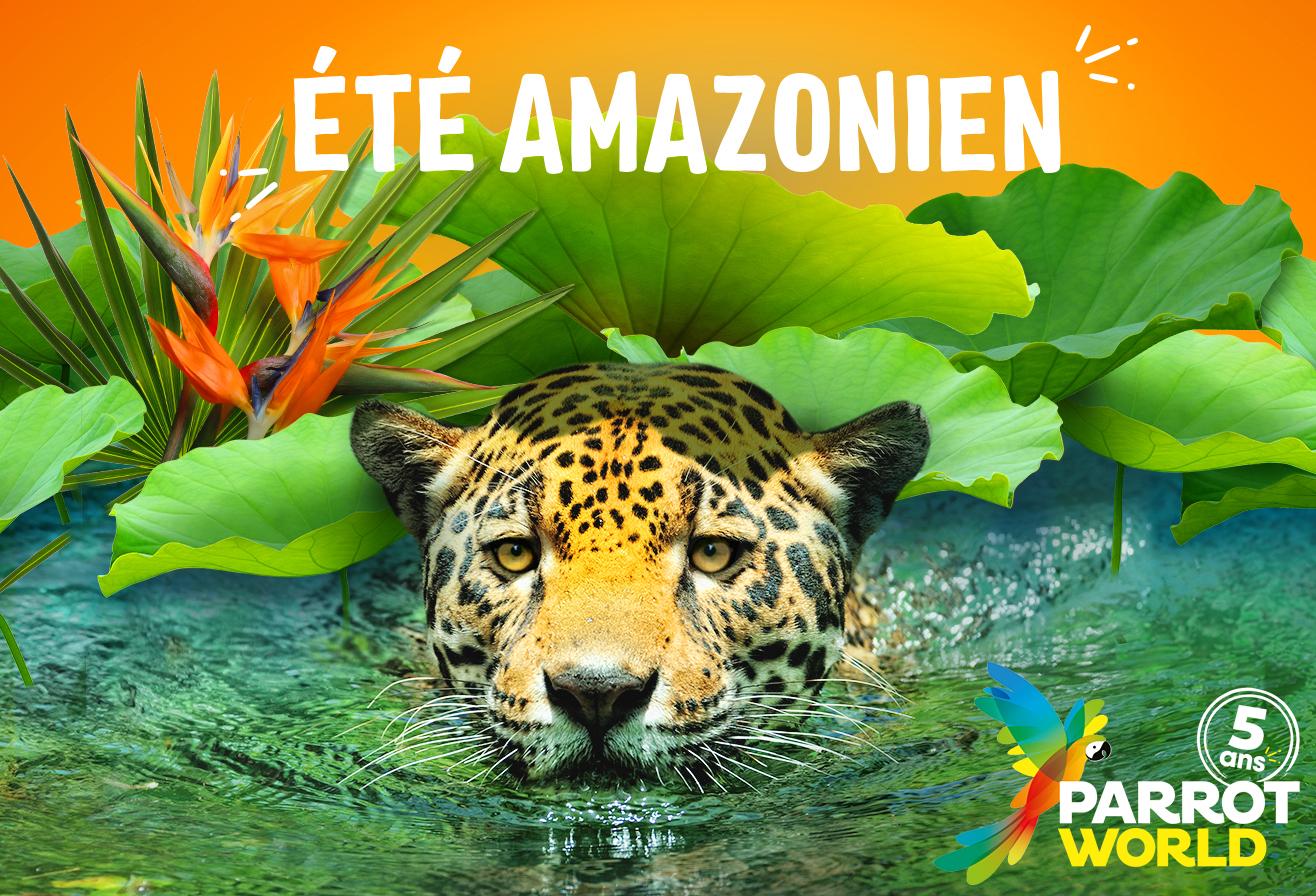 Ete_Amazonien_2025_Jaguar Parrot World