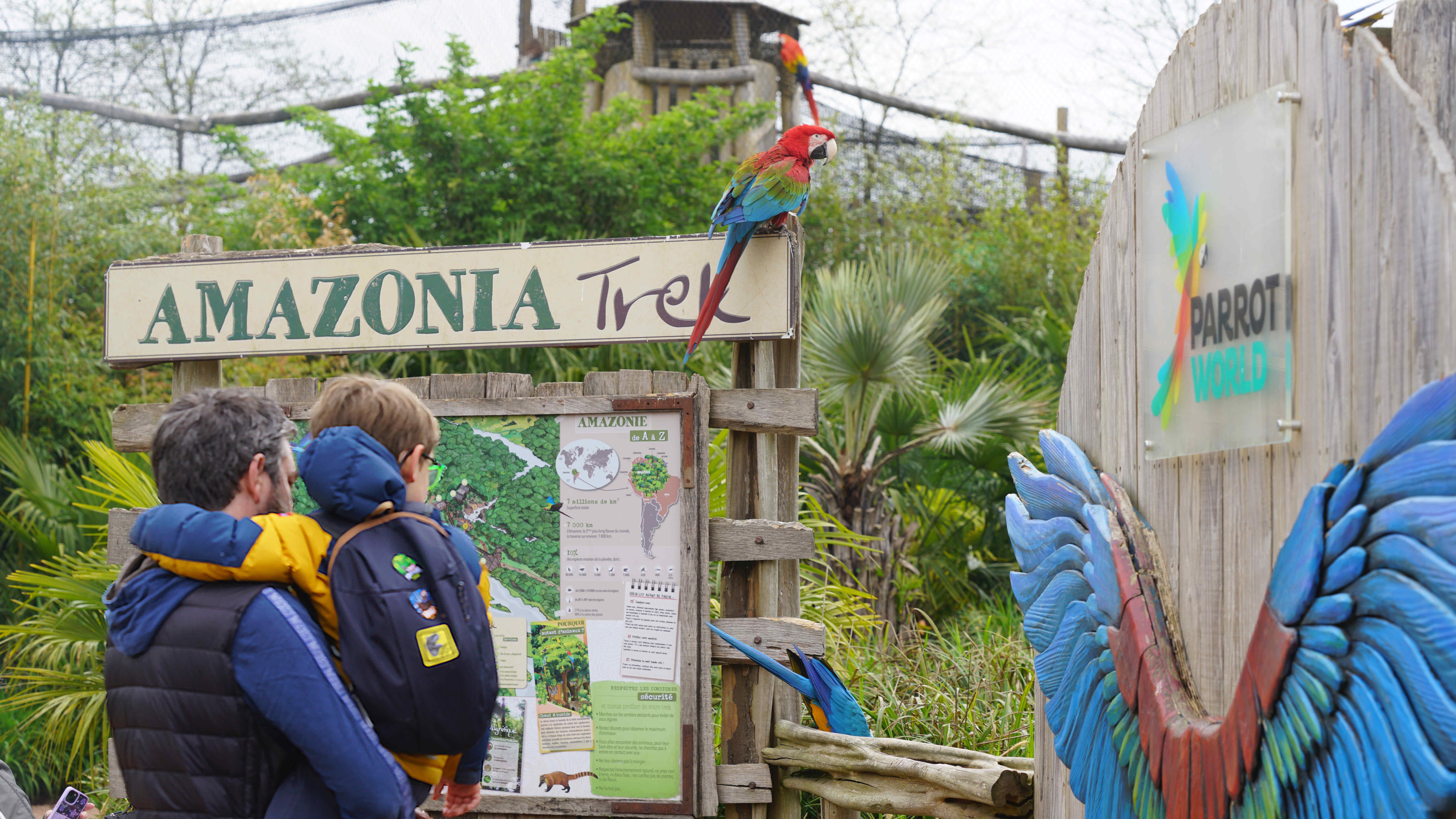 visite immersive animaux perroquets