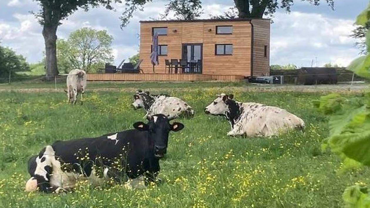 Dormir avec les animaux en France - Hébergement insolite - Famille - Animaux de la ferme