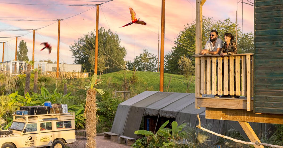Dormir avec les animaux dans un hébergement insolite à Parrot World avec vue sur les perroquets