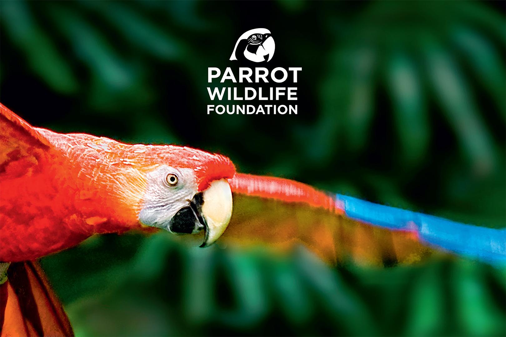 Parrot Wildlife Foundation - Conservation et protection de la biodiversité - Parrot World