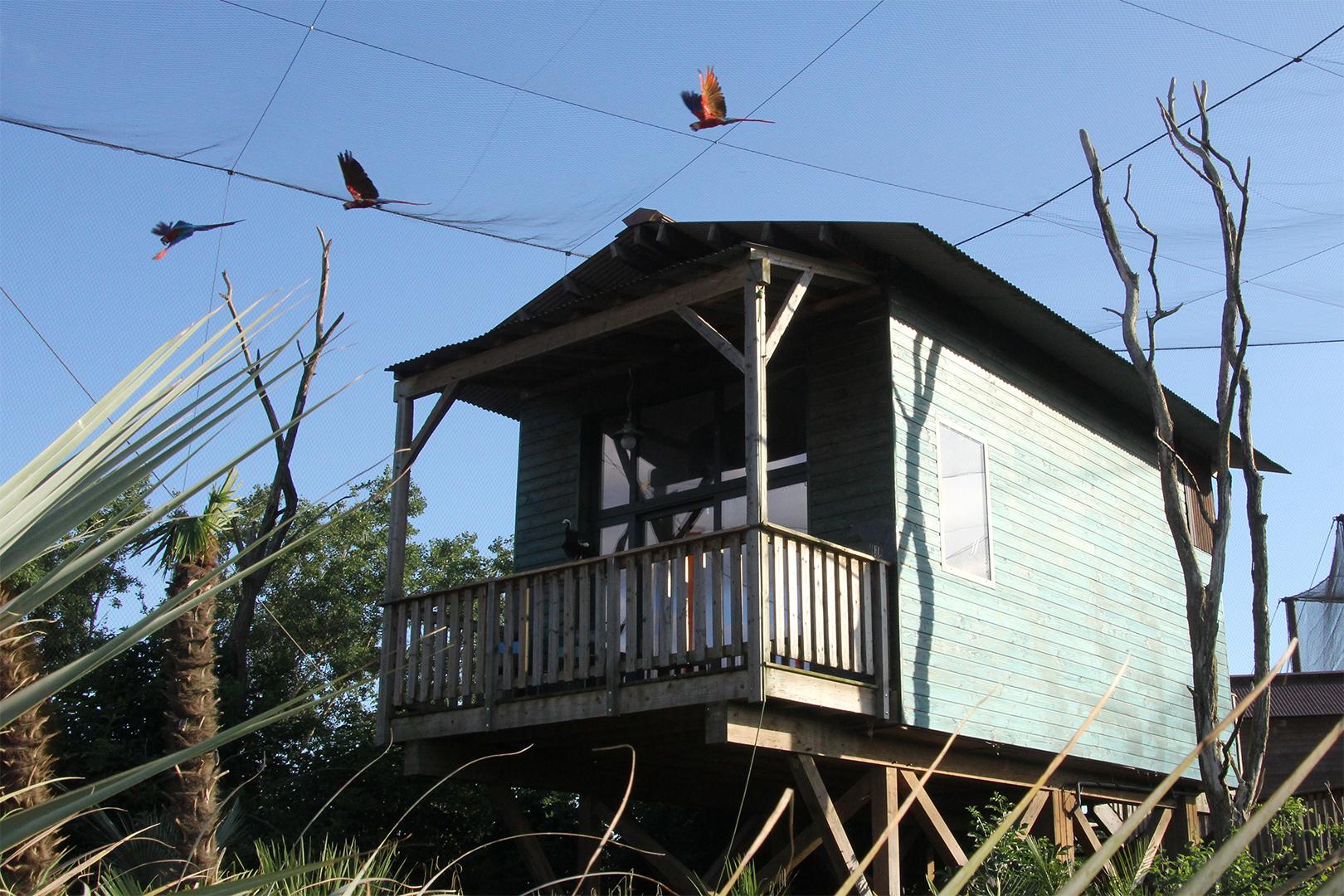 Parrot World - Lodge Amazonie - Dormir avec les animaux près de Paris