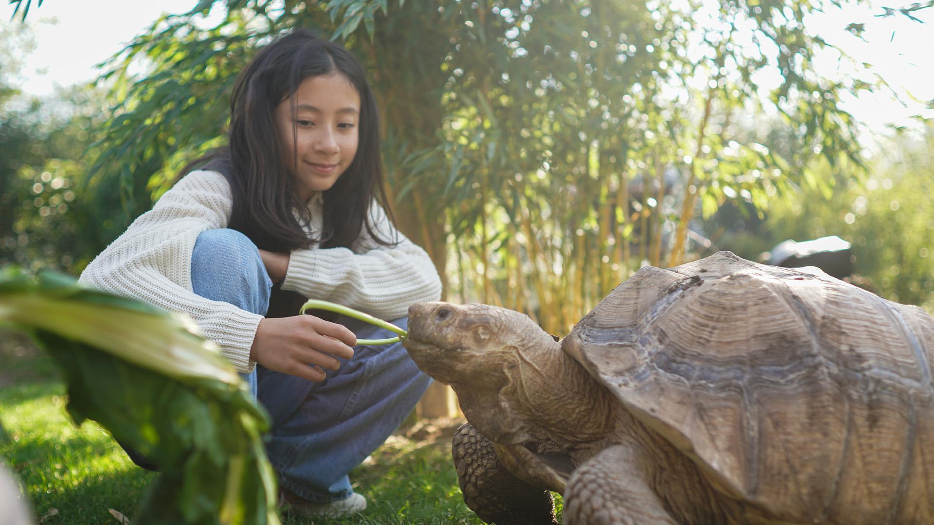 Activité Nourrir les Tortues à Parrot World - Que faire pour les vacances d'été 2026 en Île-de-France