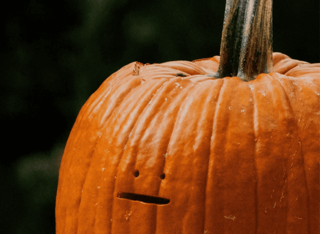 Que faire pour Halloween 2026 en Seine-et-Marne (77) ? - Le guide Parrot World