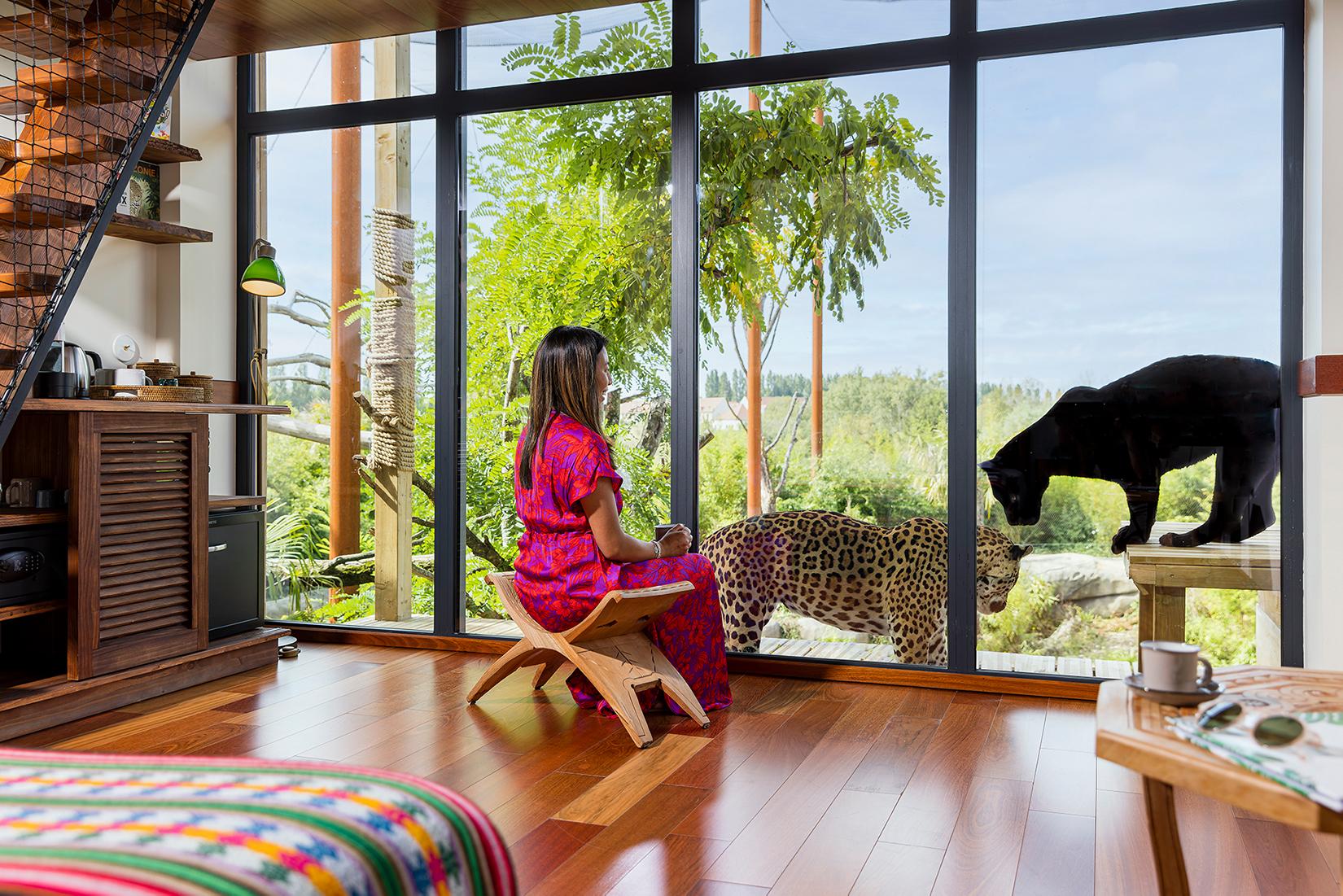 Parrot World - Lodge 1 ©Ronan ROCHER