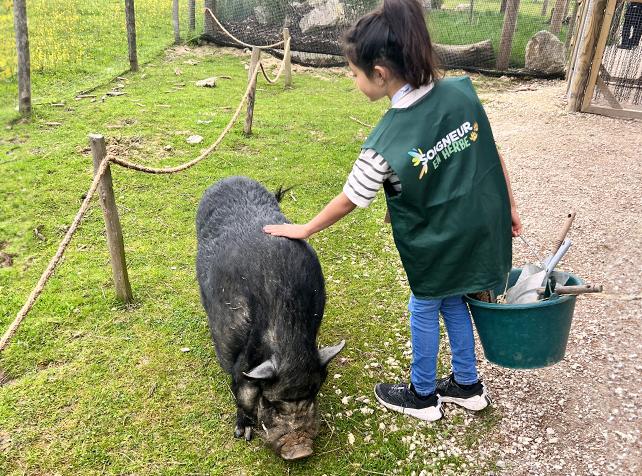 Soigneur en Herbe - Cochon - Parrot World