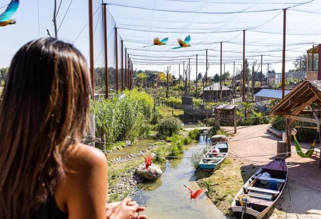 Dormir avec les animaux au zoo près de Paris avec vue sur les perroquets