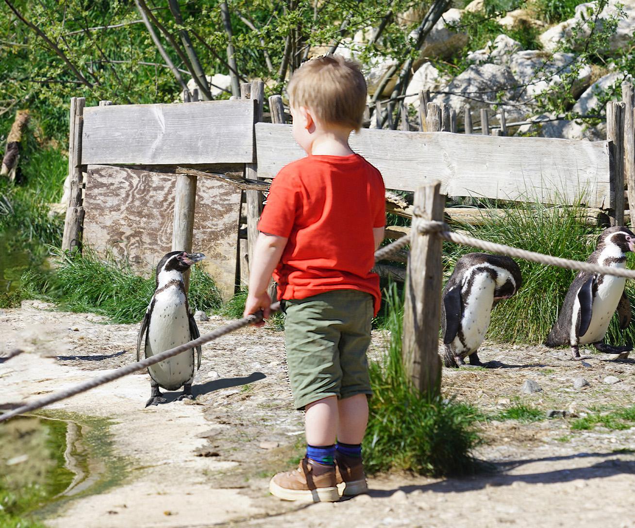 Parc animalier immersif proche de Paris avec manchots - Parrot World décor Amérique du Sud