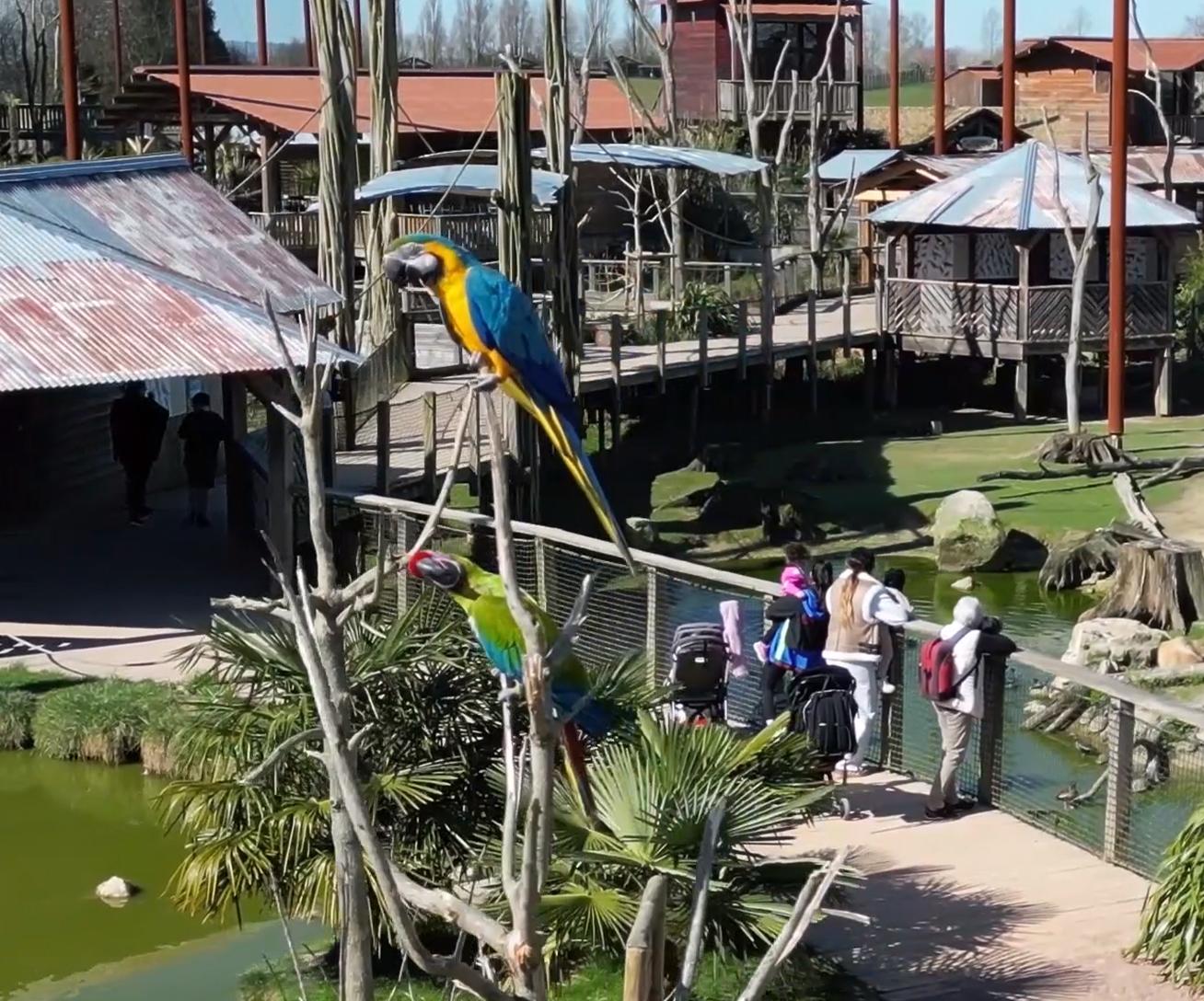 Parc animalier proche de Paris avec volière immersive géante - Parrot World décor Amérique du Sud