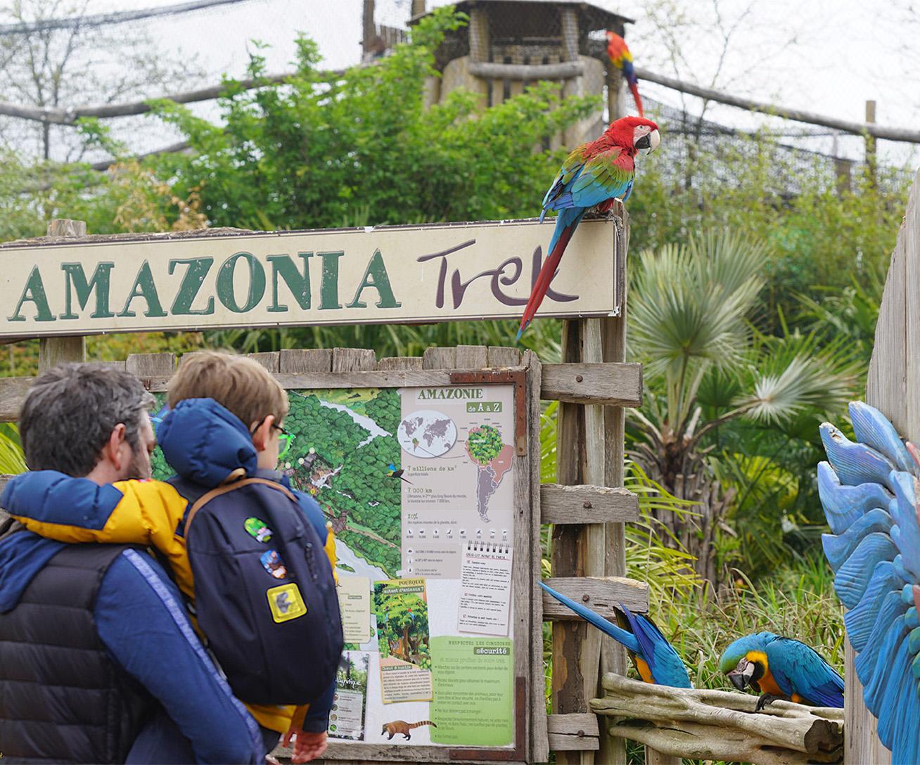 Famiglia in immersione totale tra i pappagalli nella voliera gigante d'Amazzonia di Parrot World