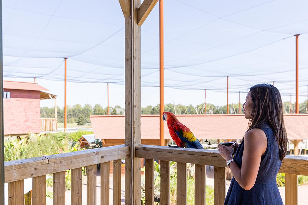 Parrot World - Lodge Amazonie 6 ©Ronan ROCHER - 150dpi