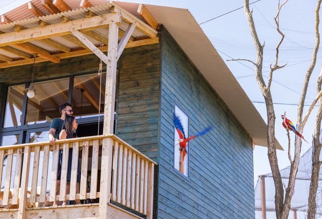 Dormir au milieu des animaux près de Paris dans un lodge avec vue sur les perroquets