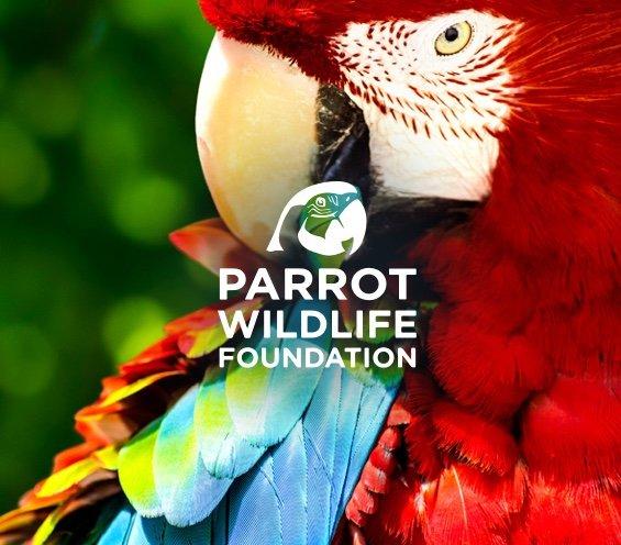 La Parrot Wildlife Foundation. La fondation de Parrot World. Le parc animalier immersif proche de Paris - Décor Amérique du Sud