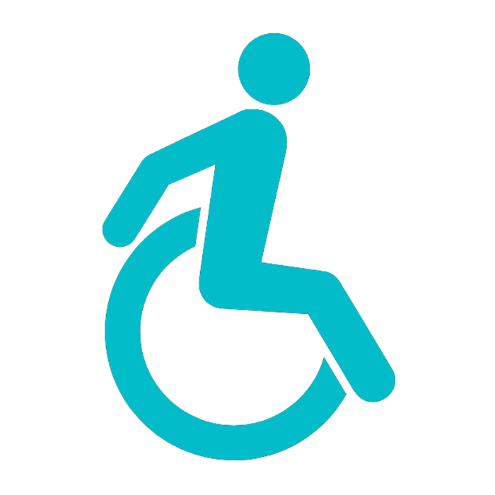 handicap