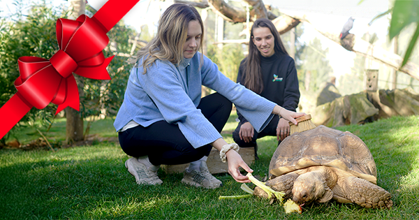 Activité insolite - Île-de-France - Nourrir les Tortues - Parrot World
