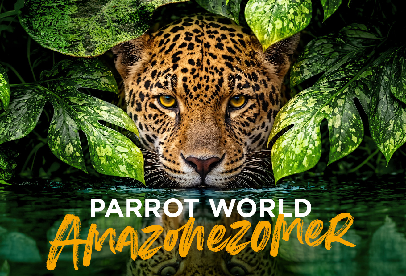 Amazonezomer bij Parrot World – Een fascinerende belevenis vlak bij Disneyland Paris 2