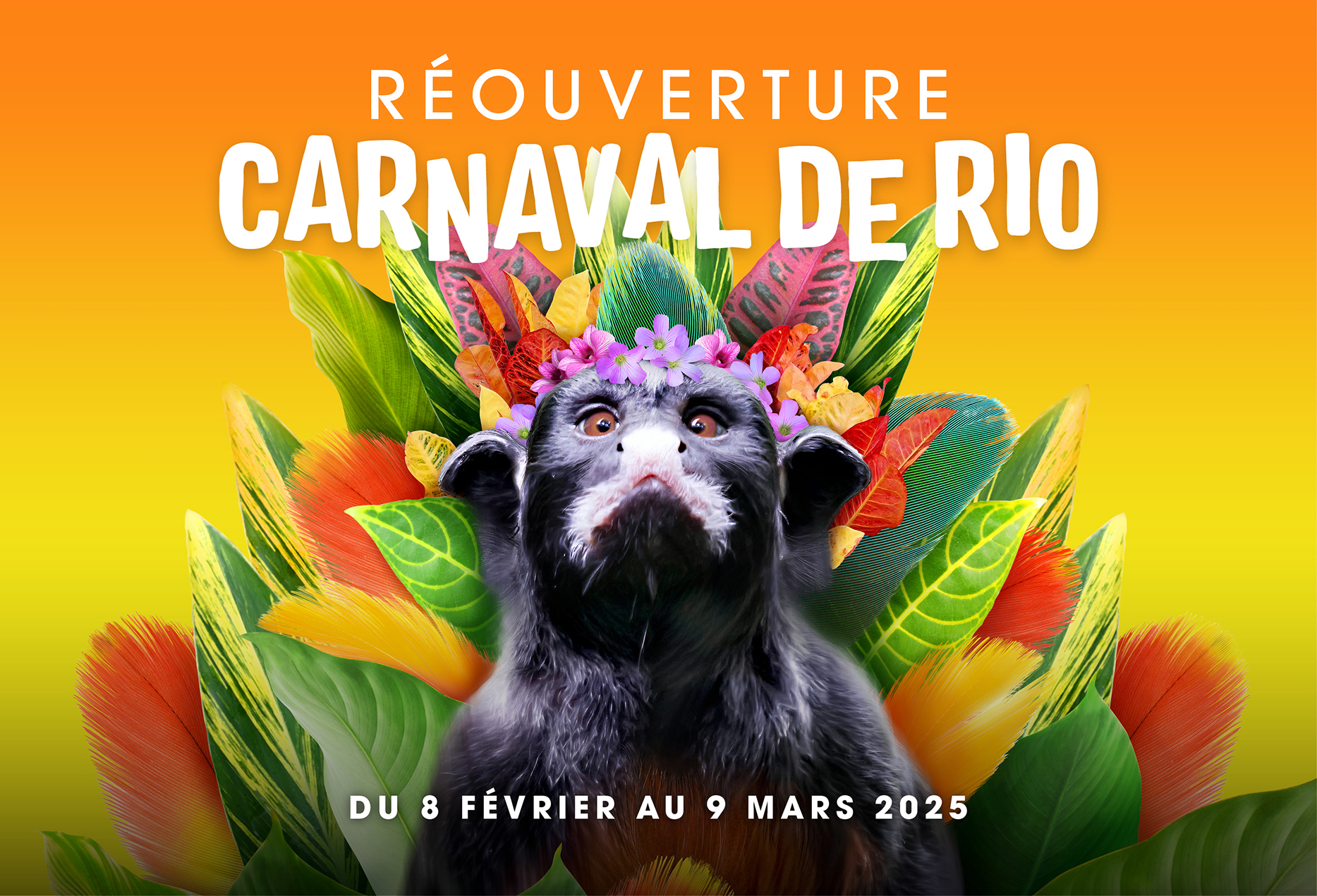 OTP021623_Carnaval_de_Rio_2025_Encart_Push_1316x896px.jpg