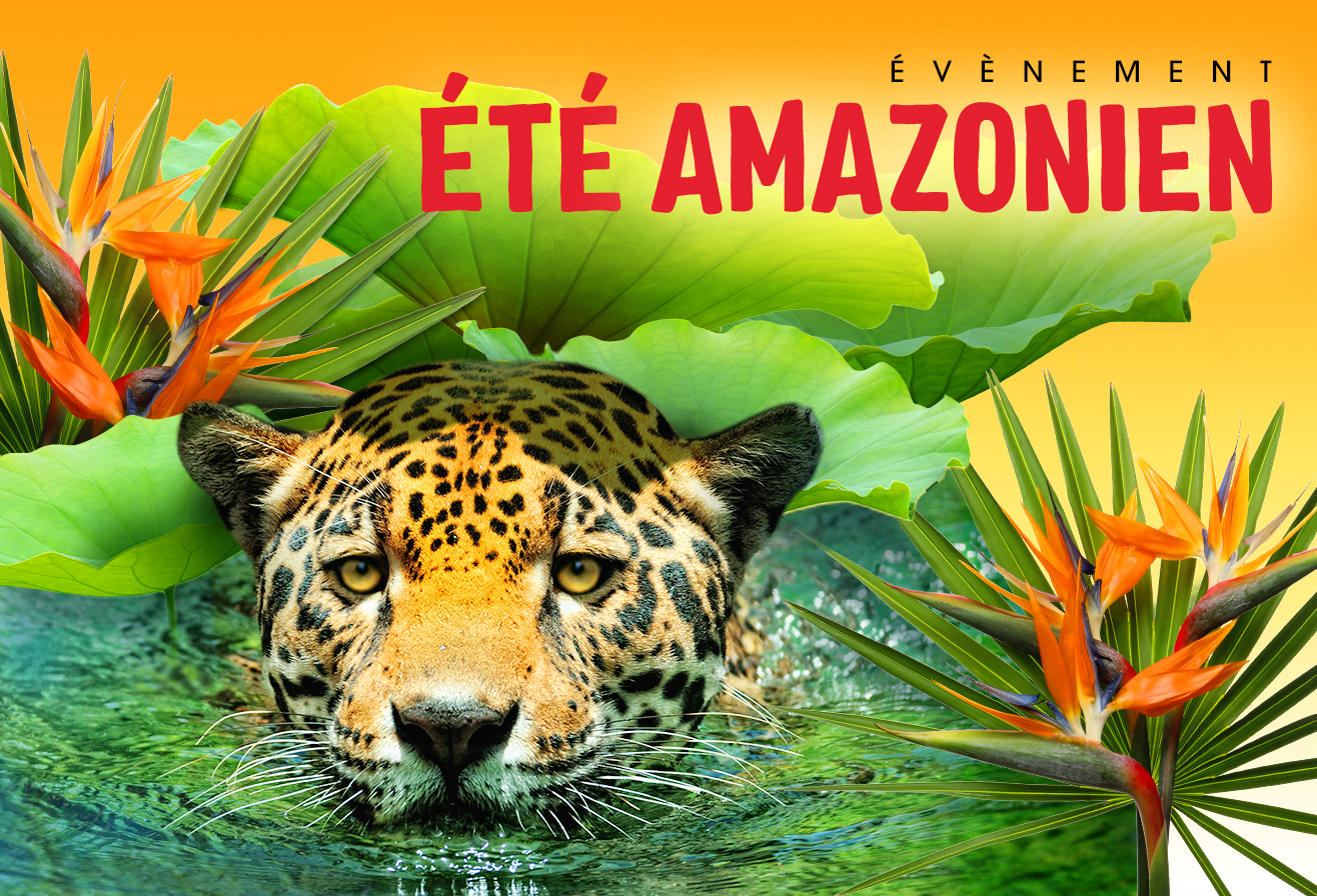 Ete_Amazonien_Jaguar_Parrot World