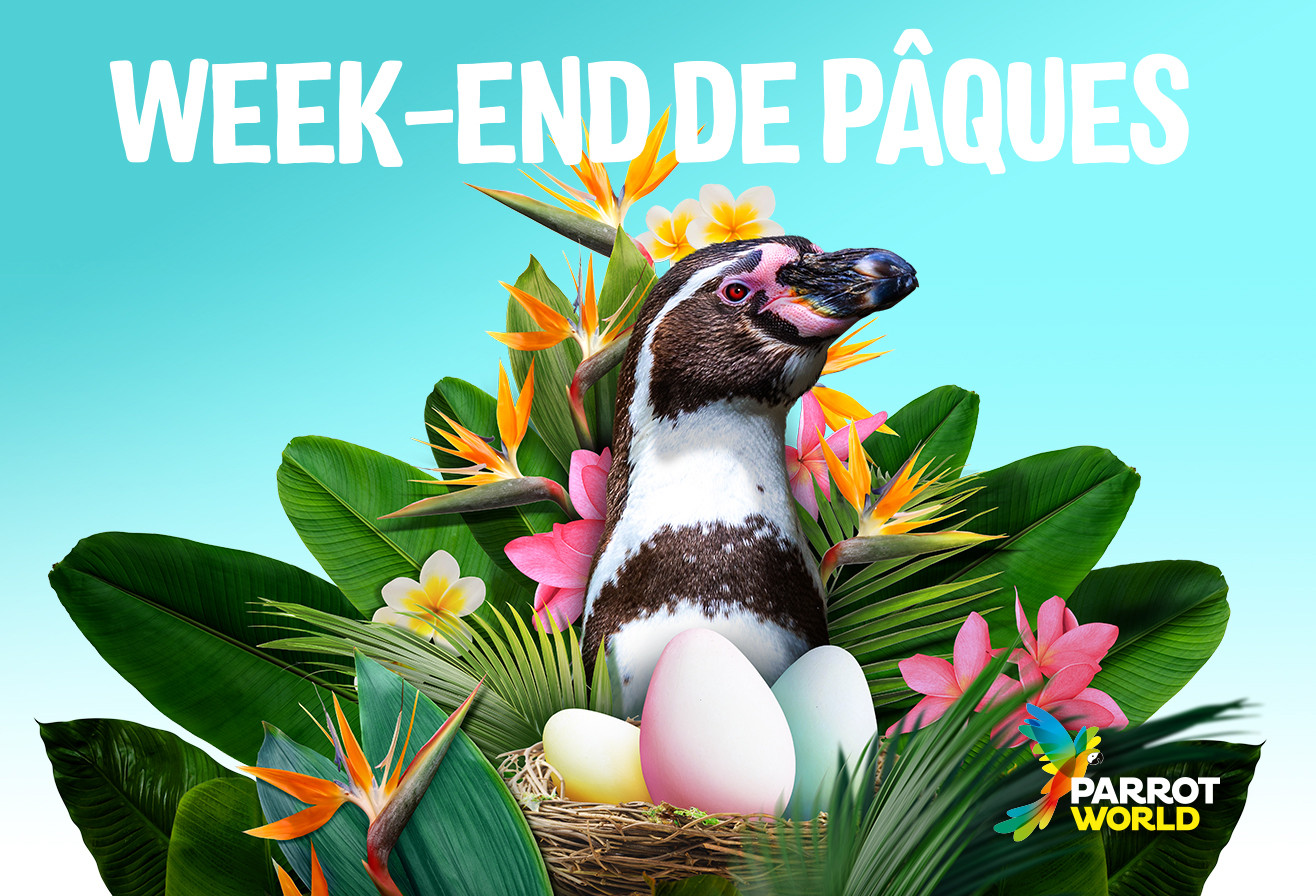 Pâques 2026 Parrot World - Chasse aux oeufs 77 - Proche de Paris 75, 93 et 94