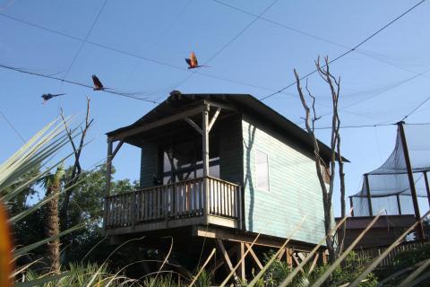 Dormir avec les animaux près de Paris dans un lodge immersif à Parrot World