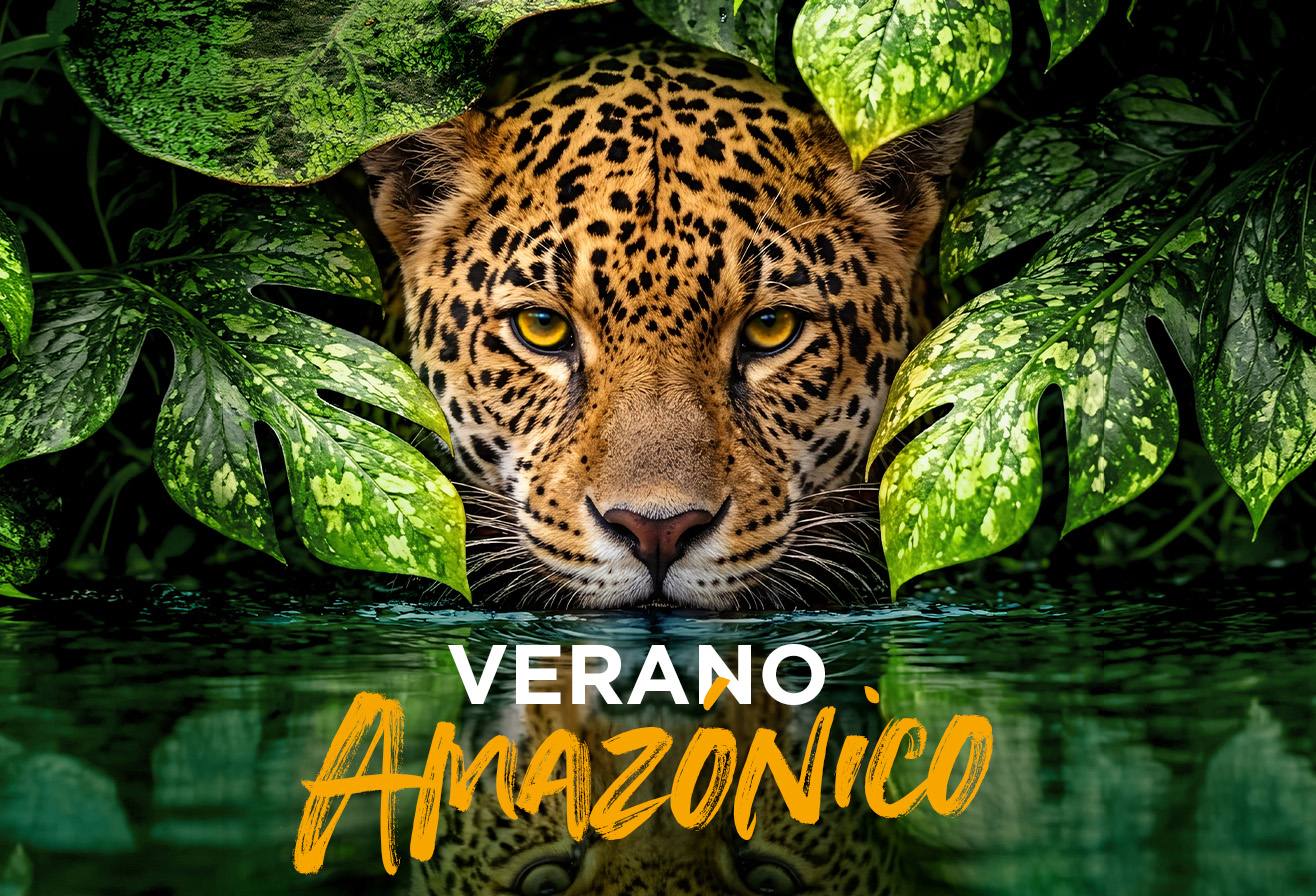 Verano Amazónico en Parrot World – Una inmersión fascinante cerca de Disneyland Paris 2