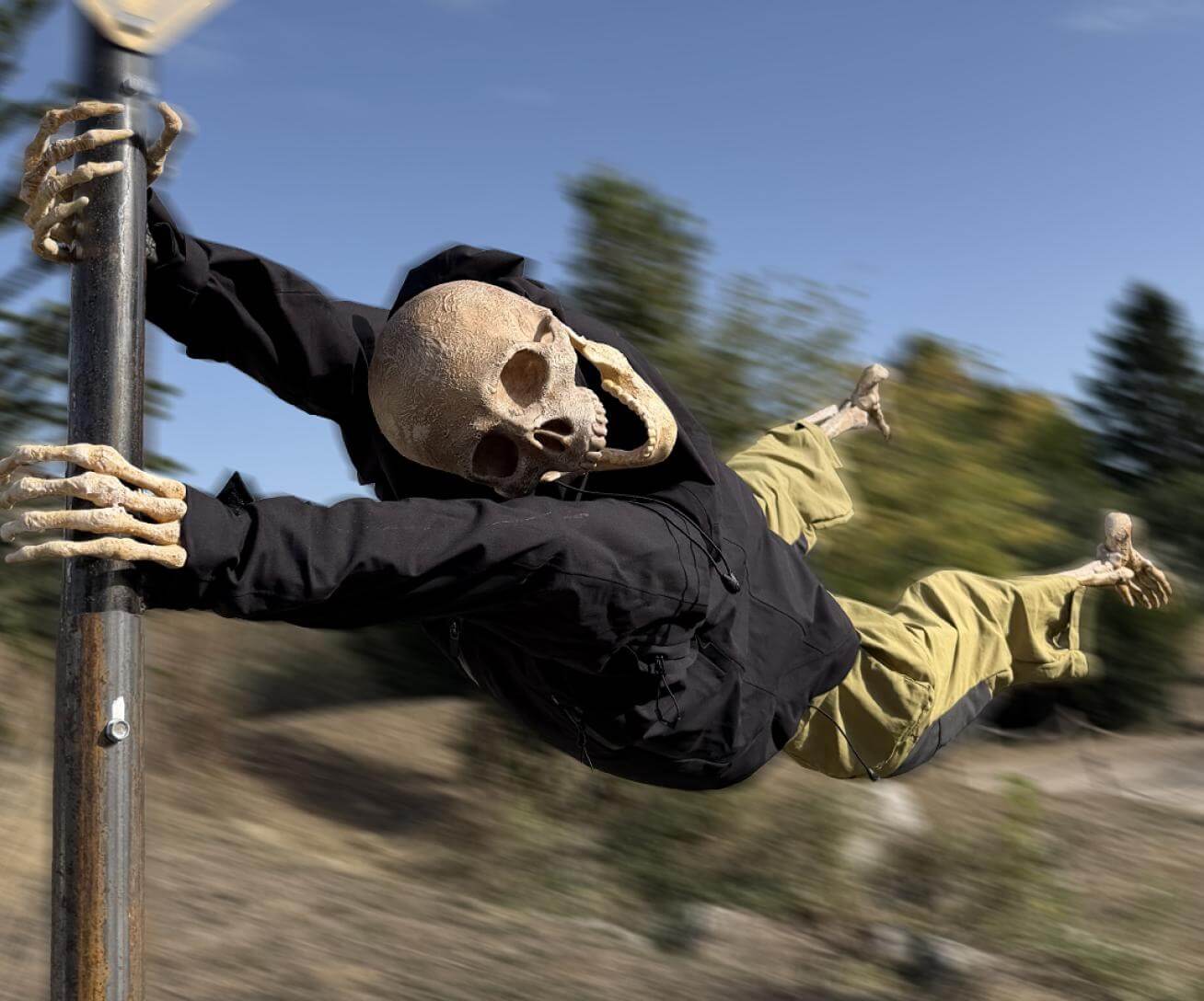 Halloween à Parrot World - squelettes humoristiques de Día de los Muertos 2026 en Île-de-France près de Paris
