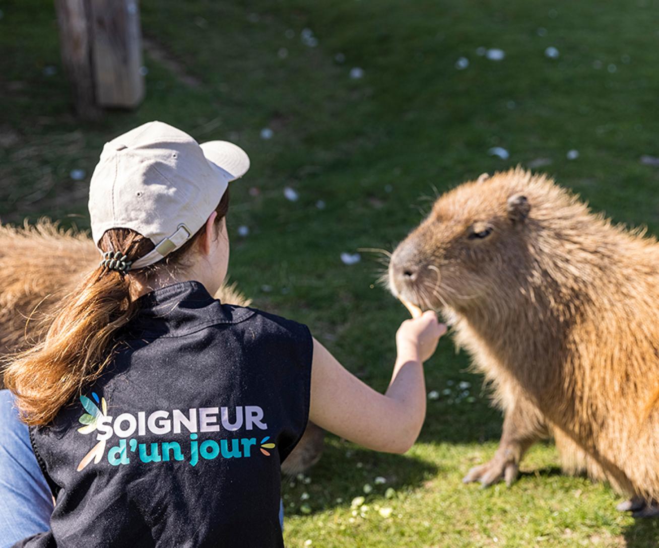 Parrot World - Soigneur d'un jour 1 ©Ronan ROCHER