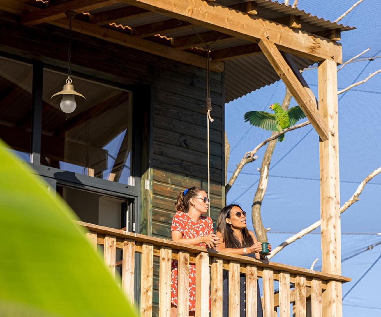 lodge amazonie