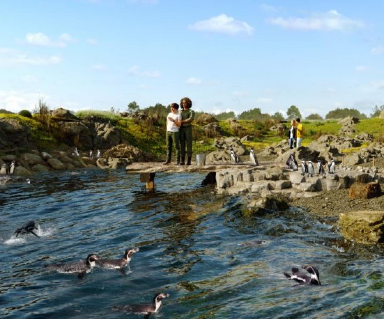 Sentier des manchots au parc animalier immersif Parrot World